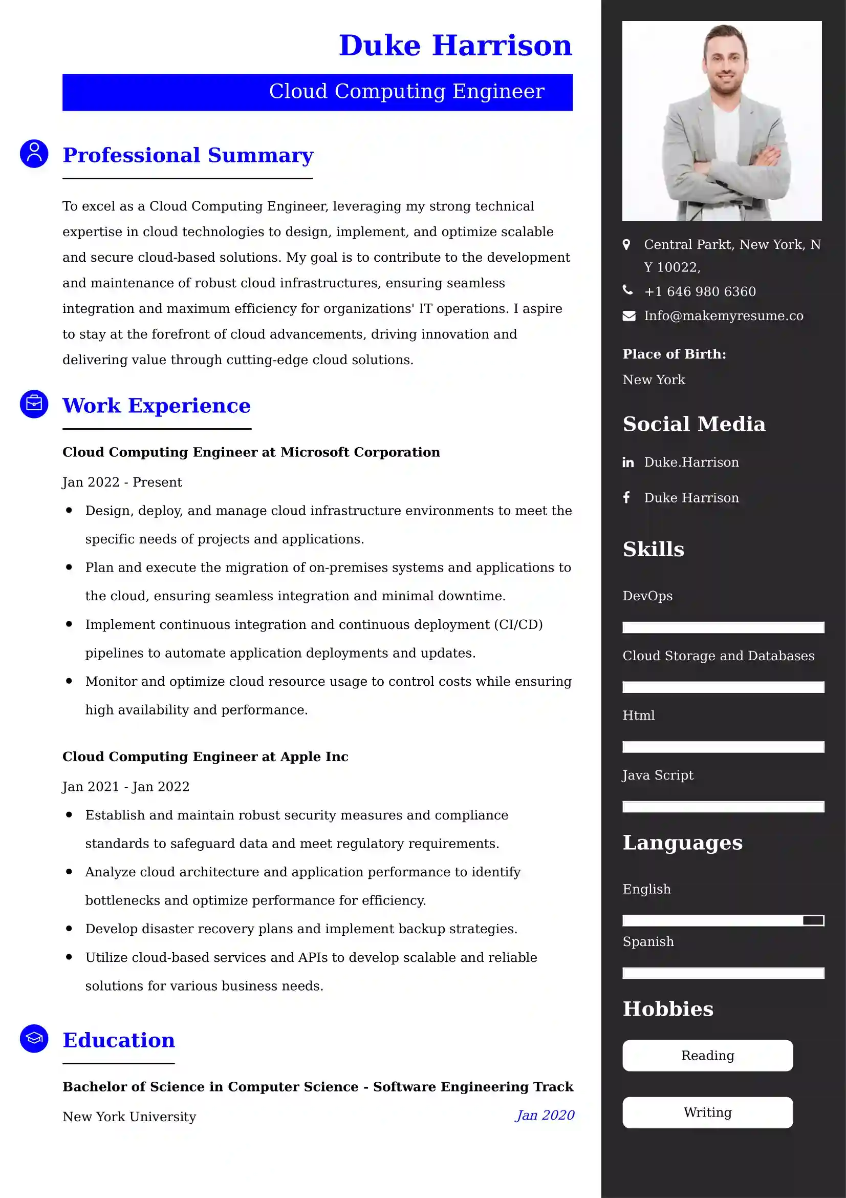 60+ Professional Computers & Software Resume Examples, Latest Format