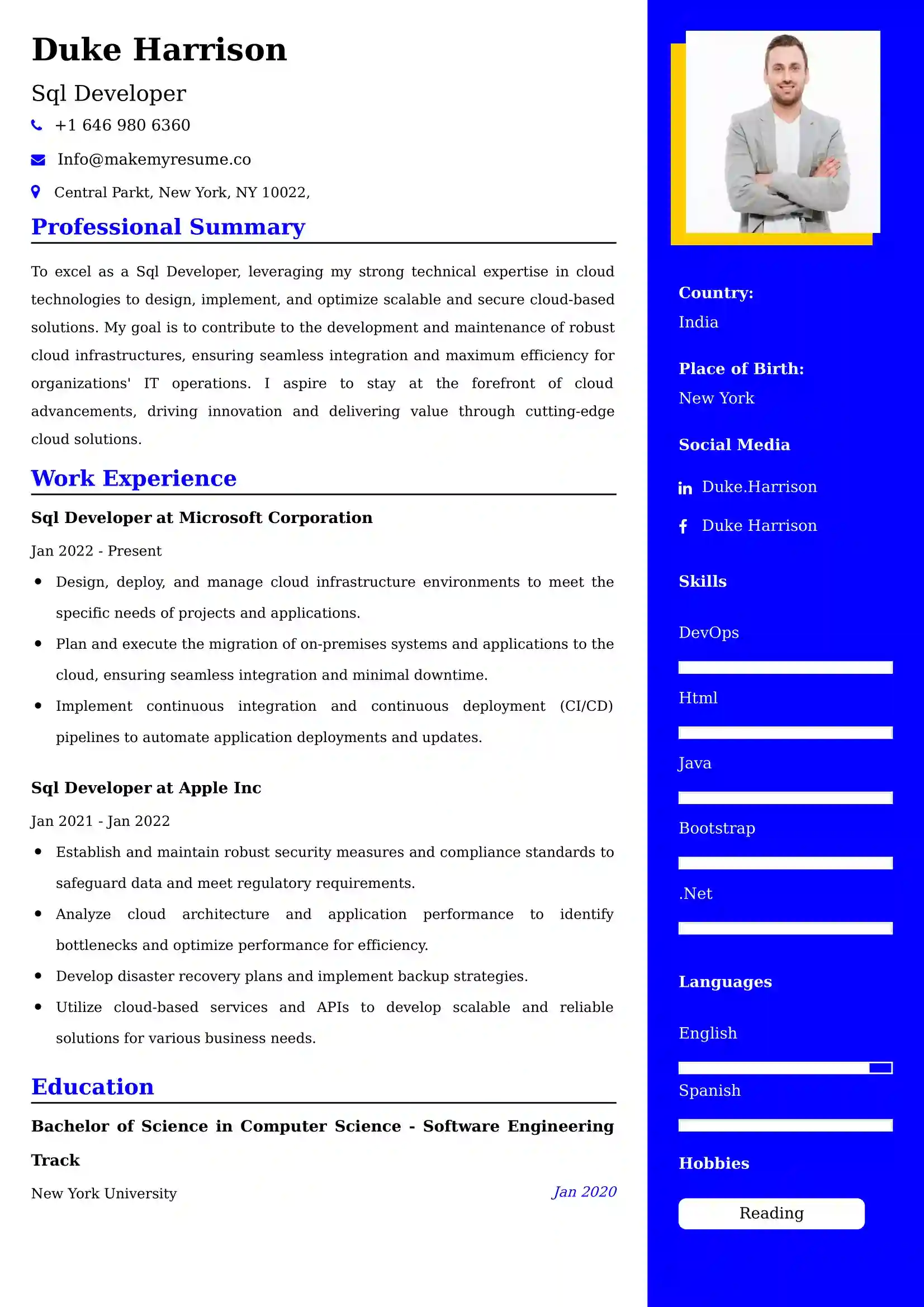 Best Remote Software Engineer Resume Examples for UK