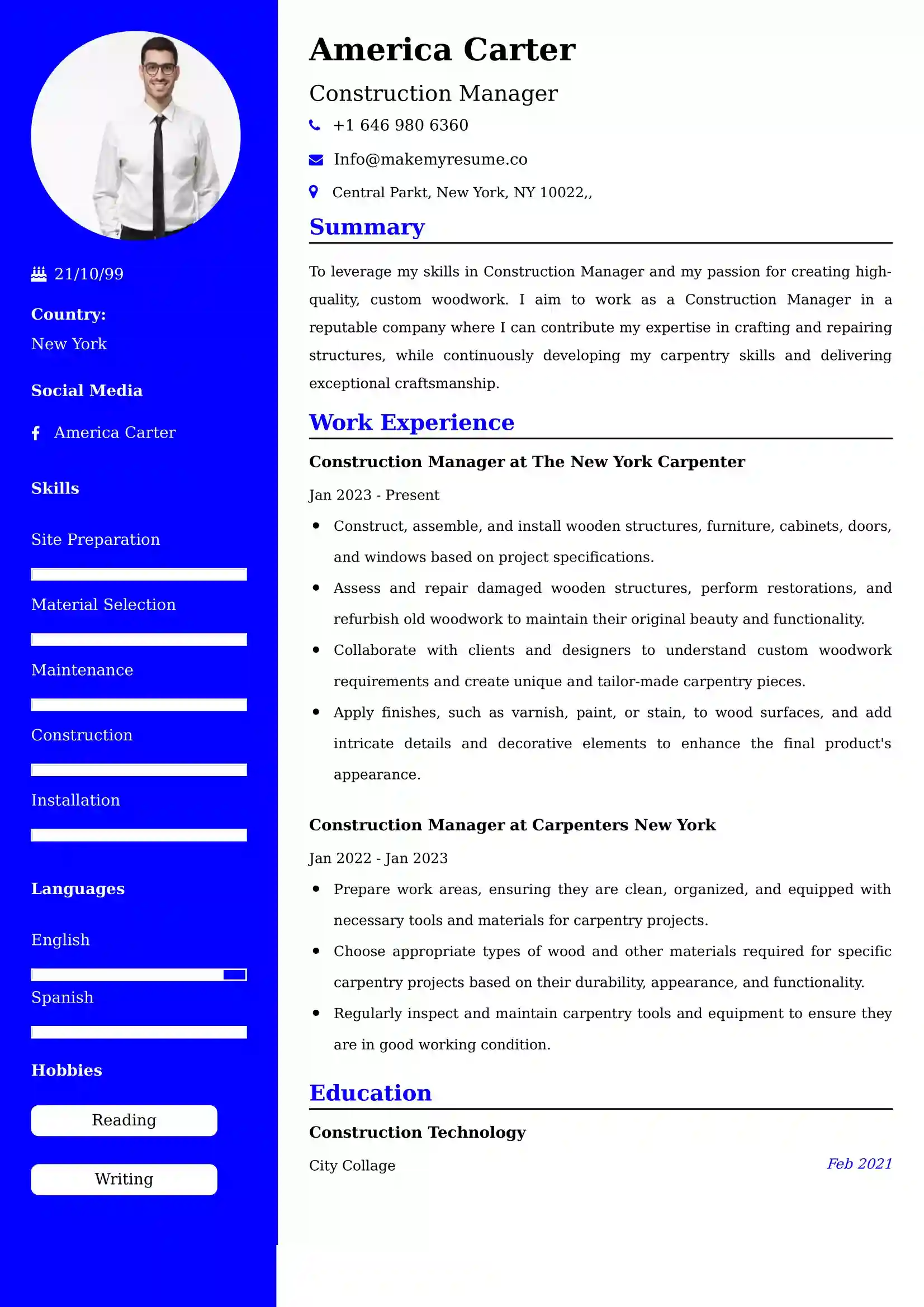 Best Construction Chief Executive Officer Resume Examples for UK