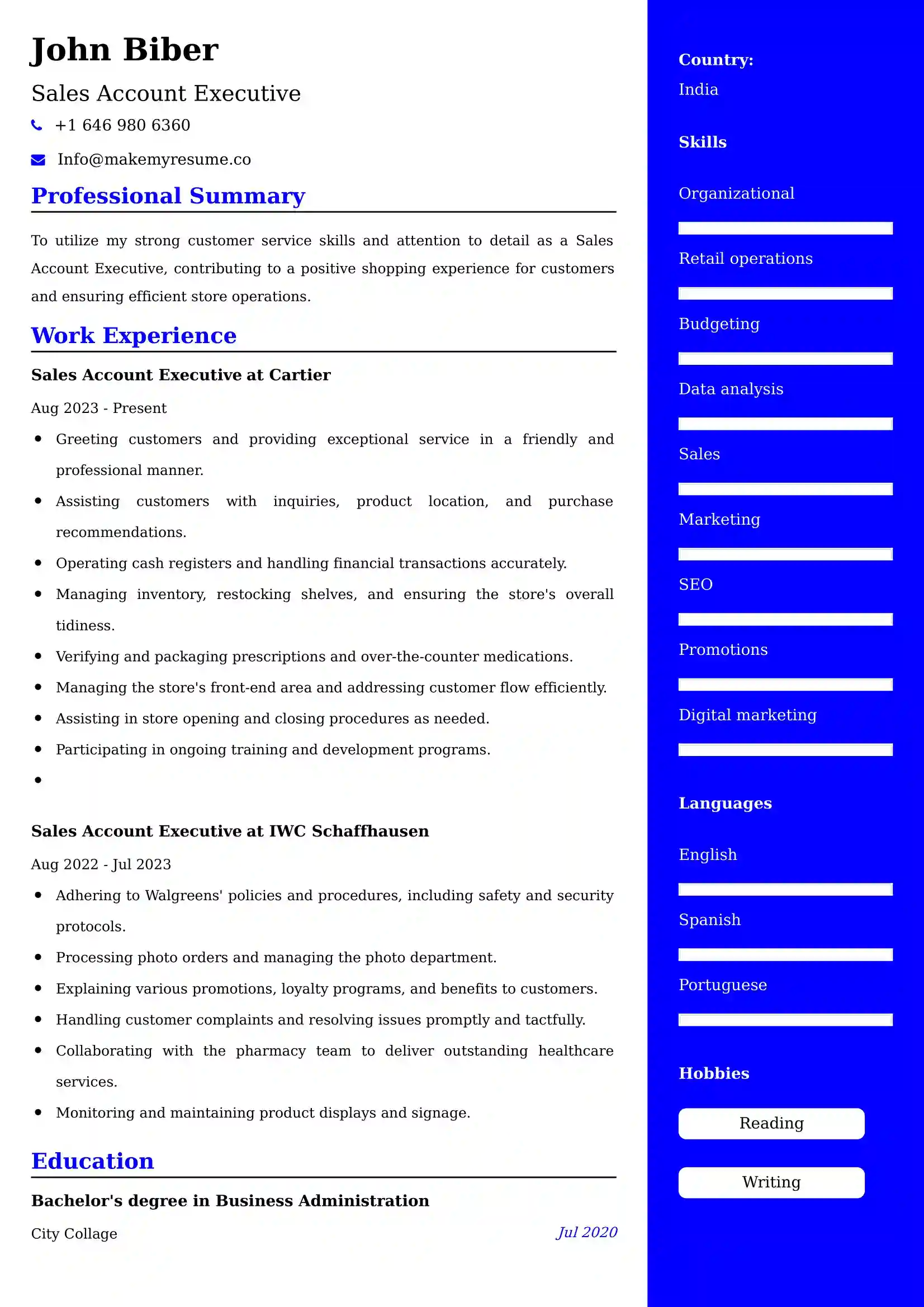 Best Sales Account Executive Resume Examples for UK